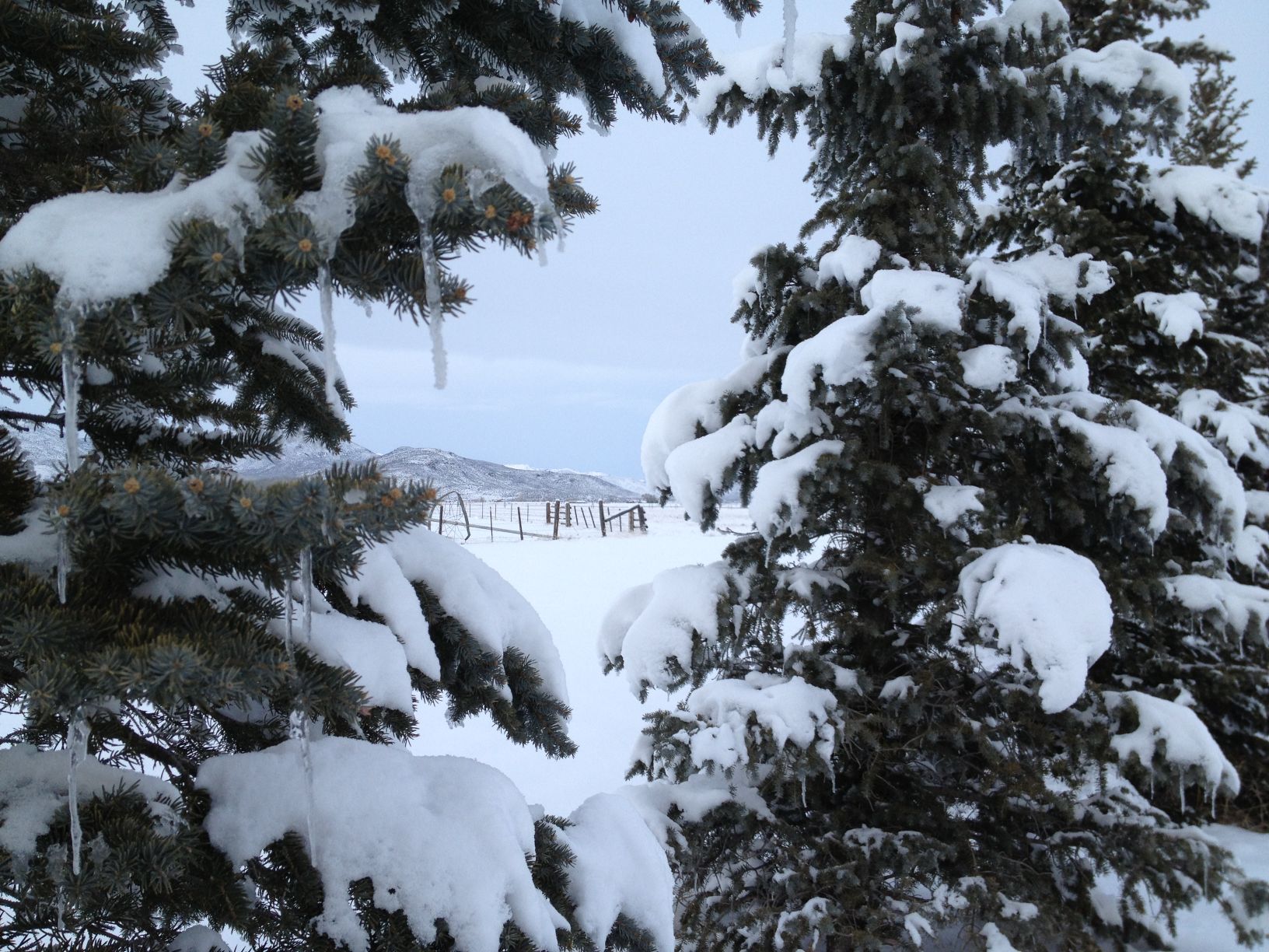 Snow